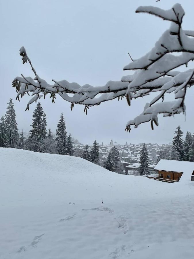 Ferienwohnung 3,5 Zimmer Direkt An Ski- Und Bikepiste Flims Extérieur photo