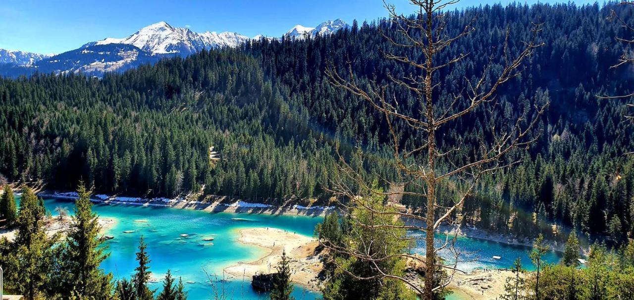Ferienwohnung 3,5 Zimmer Direkt An Ski- Und Bikepiste Flims Extérieur photo